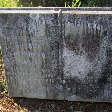 BOSCH Susara Hendrika 1879-1957