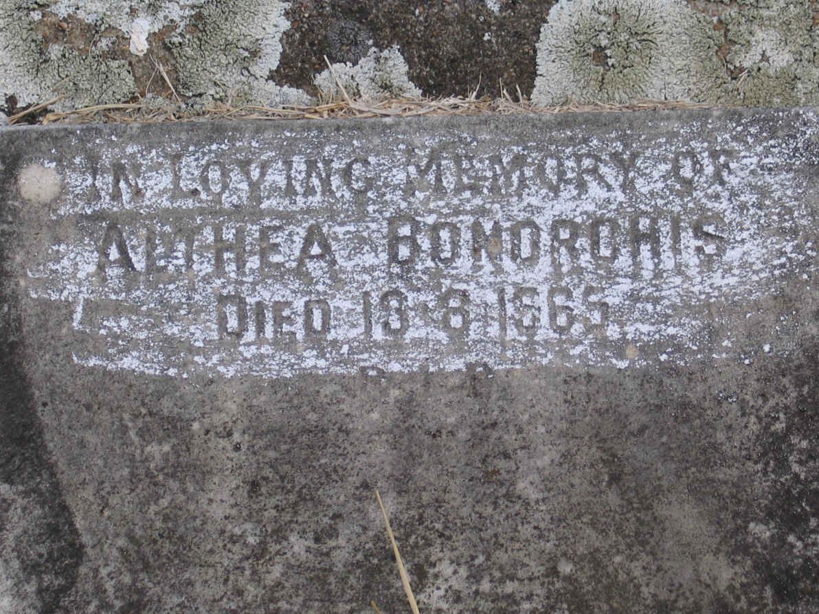 BONORCHIS Anthea -1965