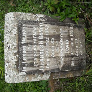 BOSCH Johannes H. -1952 :: BOSCH David -1952