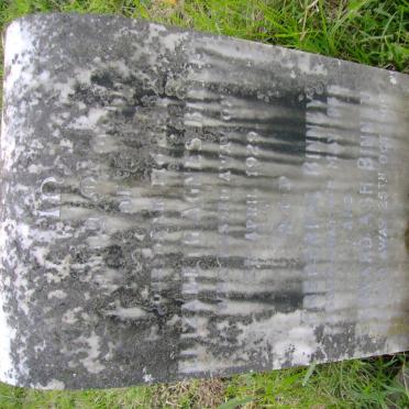 BINNEY Frederick -1955 &amp; Elizabeth Agnes -1929 :: BINNEY Bernard Ash -1966