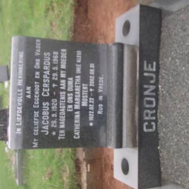 CRONJE :: MOSTERT :: KLEIN