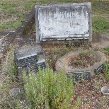 CUTBUSH :: MORTON :: WELDON