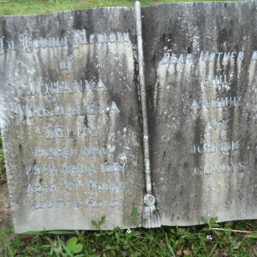 COHEN Gladys Elizabeth -1974 :: SELBY Johanna Magdalena -1967