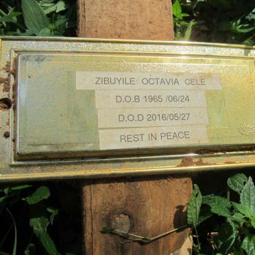 CELE Zibuyile Octavia 1965-2016