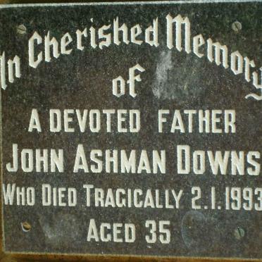 DOWNS John Ashman -1993