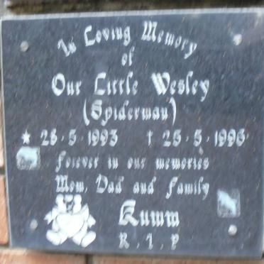 KUMM Wesley 1993-1996