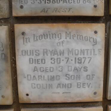 MONTILE Louis Ryan -1977