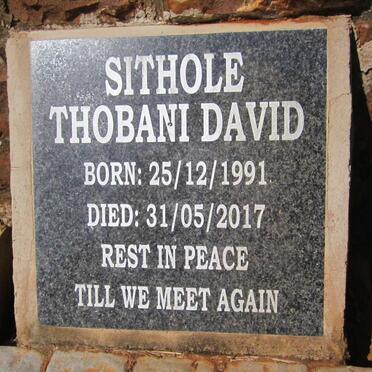 SITHOLE Thobani David 1991-2017