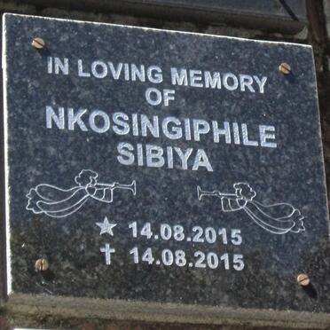 SIBIYA Nkosingiphile 2015-2015