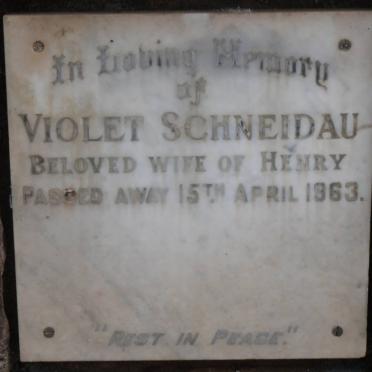 SCHNEIDAU Violet -1963
