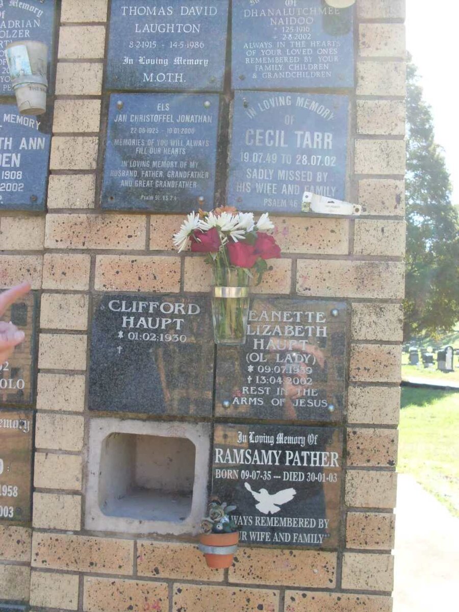 ELS :: HAUPT :: LAUGHTON :: NAIDOO :: PATHER :: TARR