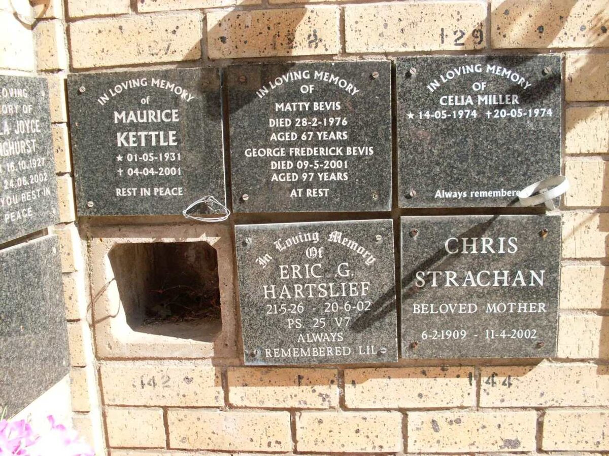 BEVIS :: HARTSLIEF :: KETTLE :: MILLER :: STRACHAN