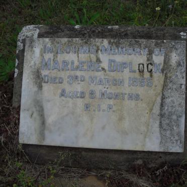 DIPLOCK Marlene -1955