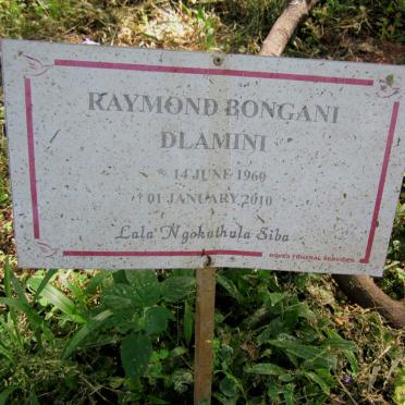 DLAMINI Raymond Bongani 1960-2010