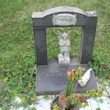 ERASMUS Johannes L.A. 1934-2010 :: ERASMUS Amelia 1966-1966