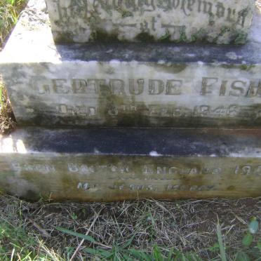 FISH Gertrude 1905-1946 