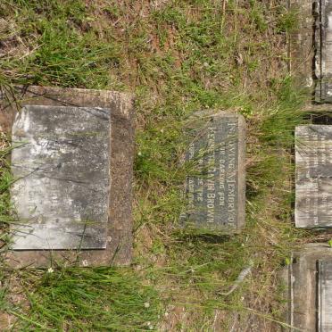 GREENLEES William James -1941 :: BROWN Thomas -1968 &amp; Elizabeth Lavinia -1965 :: BROWN Kenneth Gavin -1941