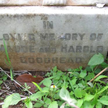 GOODHEAD Harold -1970 &amp; Maude -1966