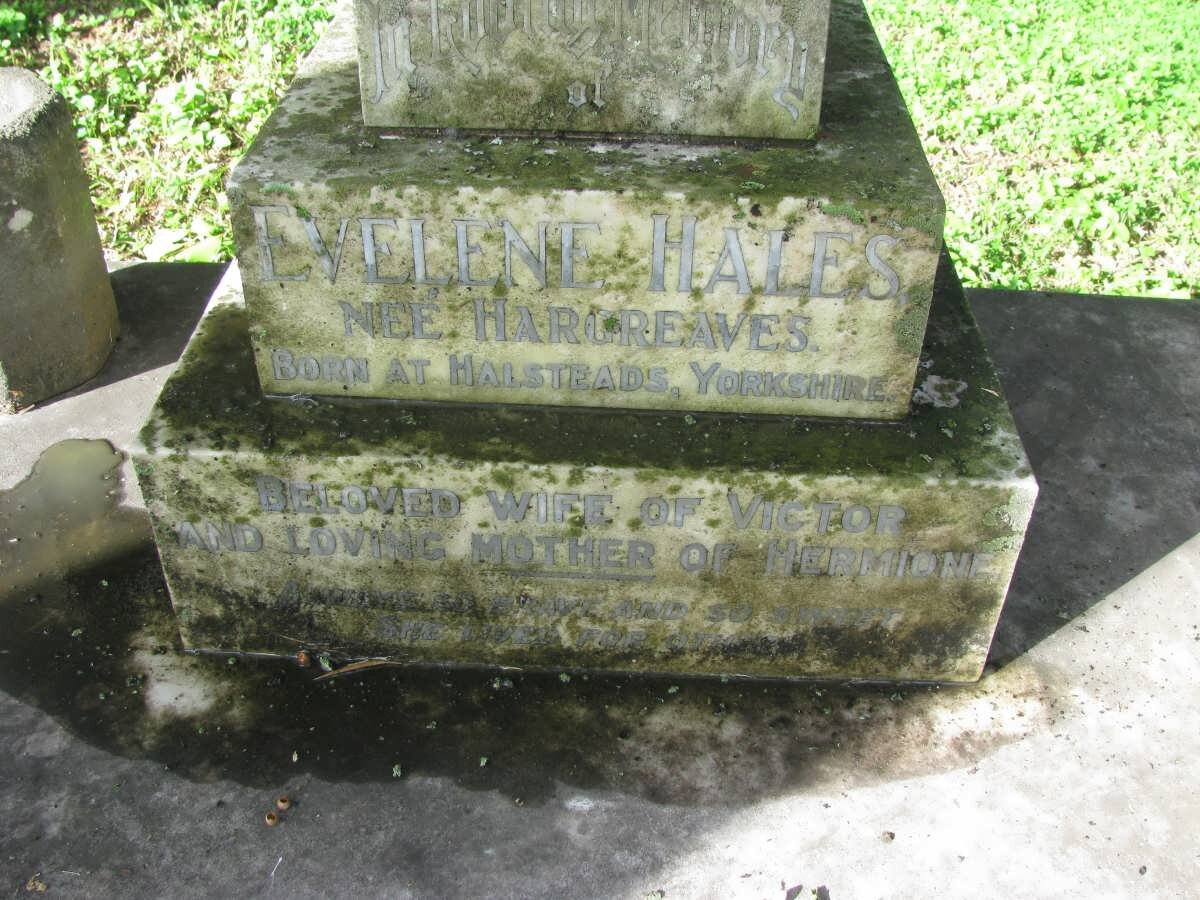 HALES Victor Cyril -1961 &amp; Evelene HARGREAVES -1953 :: PITCHER Hermione Mary Seaton nee HALES -1981