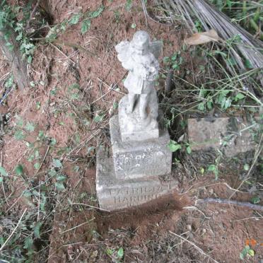 HARDING Patricia -1937 :: PUGIN Louis Desire Jules -1931