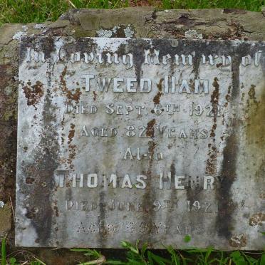HAM Tweed  -1921 :: HENRY Thomas -1921