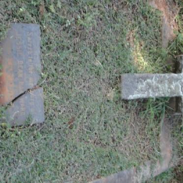 HARWARD Jessie Dean -1954