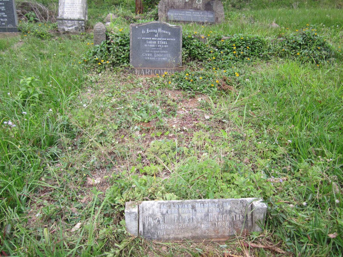 HARCOMBE Cyril Linscott 1904-1987 &amp; Sarah Ethel 1908-1971 :: HARCOMBE Hazel Elaine 1930-1931