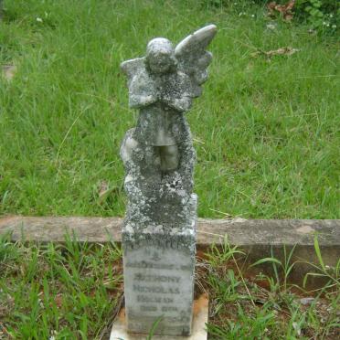 HOLMAN Anthony Nicholas -1946 