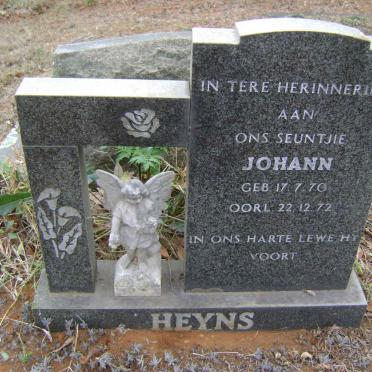 HEYNS Johan 1970-1972