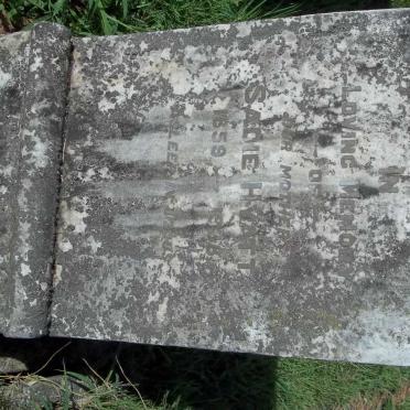 H - Vanne :: Surnames - H