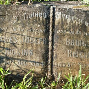 HIGGINS James Joseph -1964 &amp; Bridget -1965