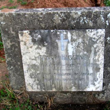 HIGGINS Peter 1966-1966