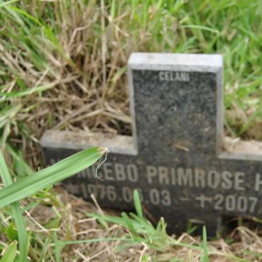 HLELA ? Primrose 1976-2007