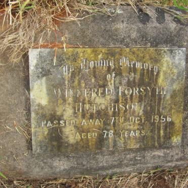 HUTCHISON Winnefred Forsyth -1956