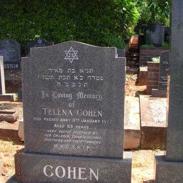 COHEN Telena -1977