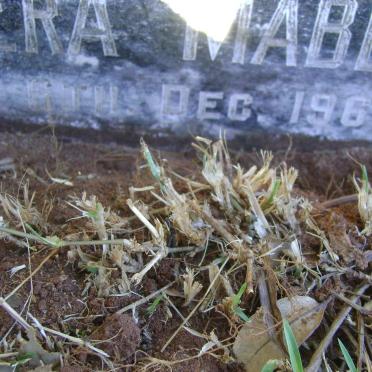 KENWORTHY Rudge -1952 &amp; Kathleen -1956 :: KENWORTHY Vera Mabel -1969 :: KENWORTHY Allan Rudge -1944