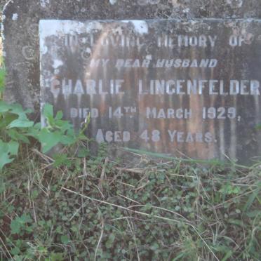 LINGENFELDER Charlie -1929