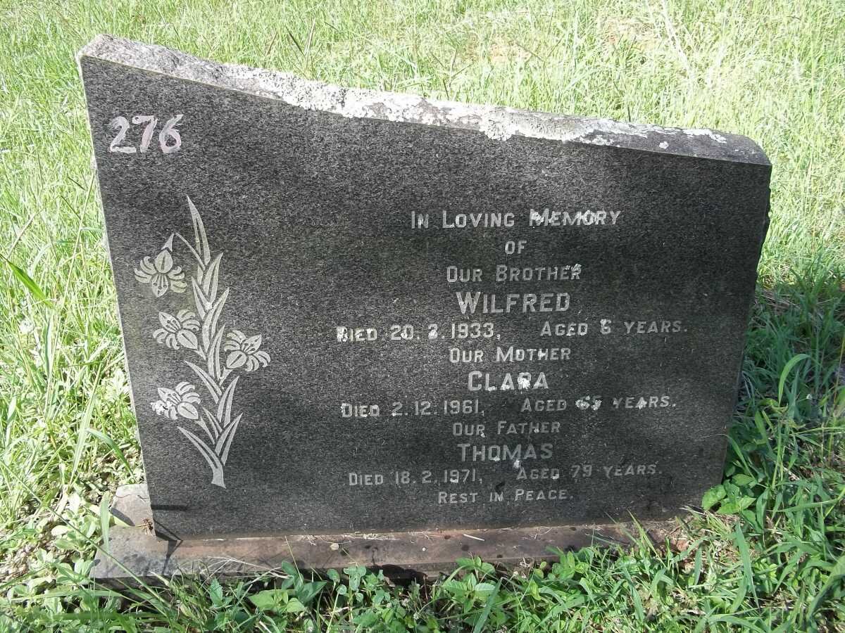 LEEUW Thomas -1971 &amp; Clara -1961 :: LEEUW Wilfred -1933