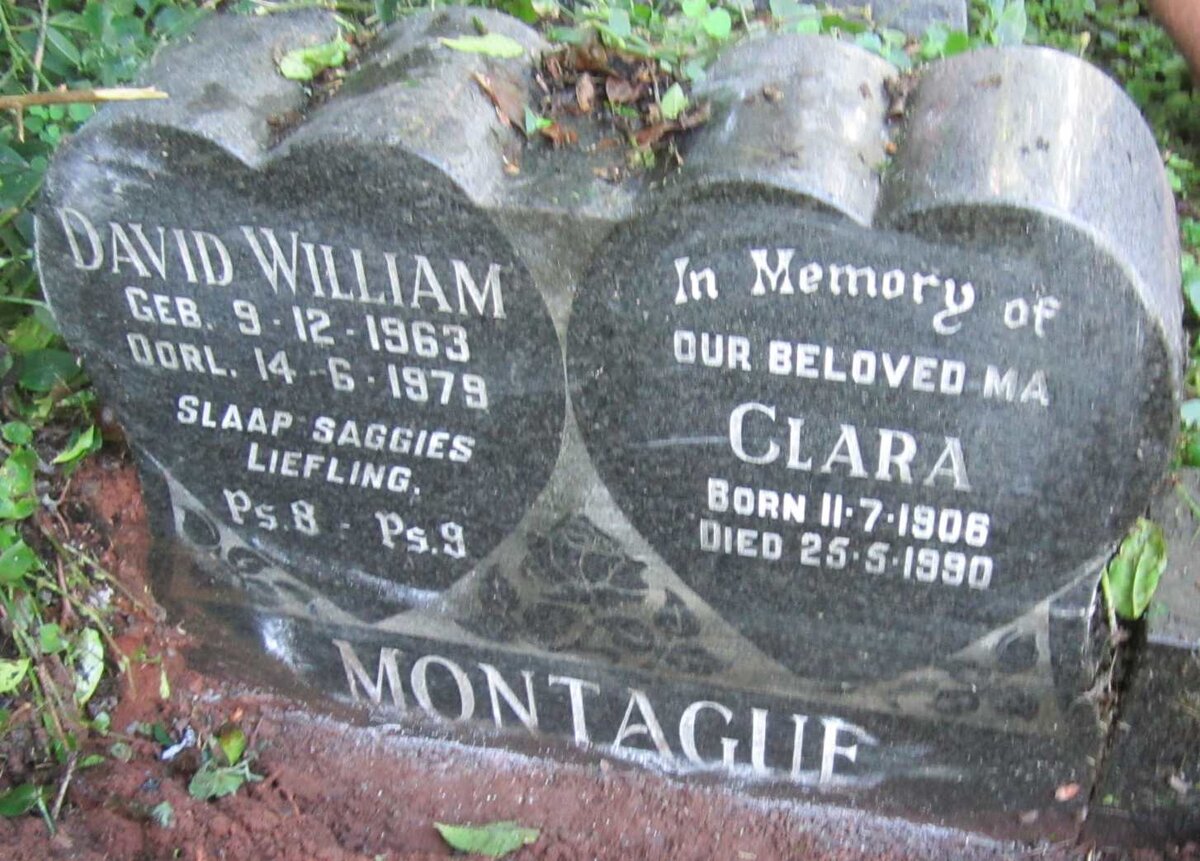 MONTAGUE Clara 1908-1990 :: MONTAGUE David William 1963-1979