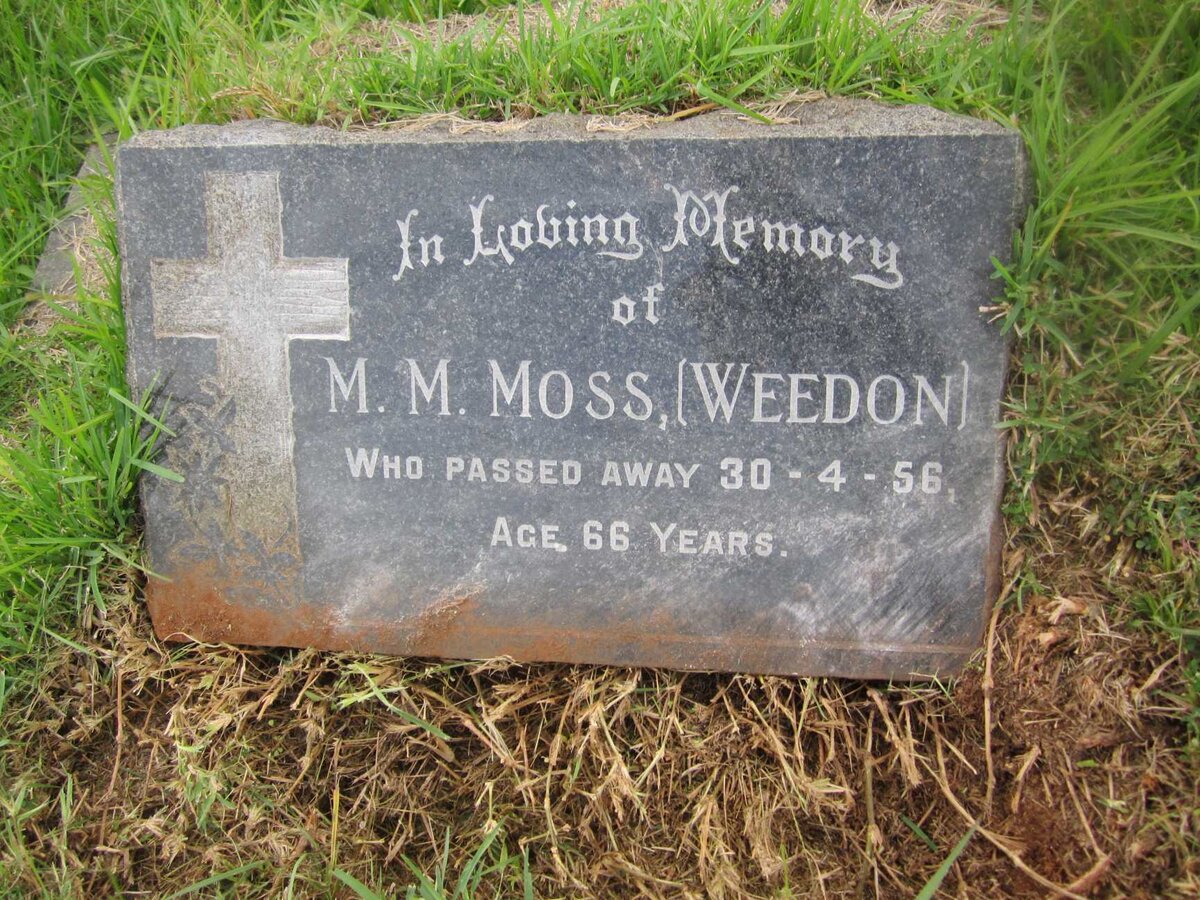 MOSS M.M. nee WEEDON -1956