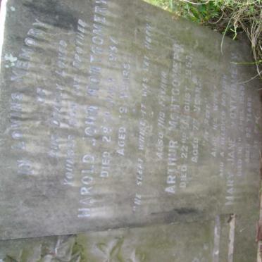 MONTGOMERY Arthur -1953 &amp; Mary Jane -1969 :: MONTGOMERY Harold John -1937