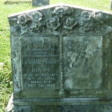 MORTON Charlotte Orchard 1868-1950