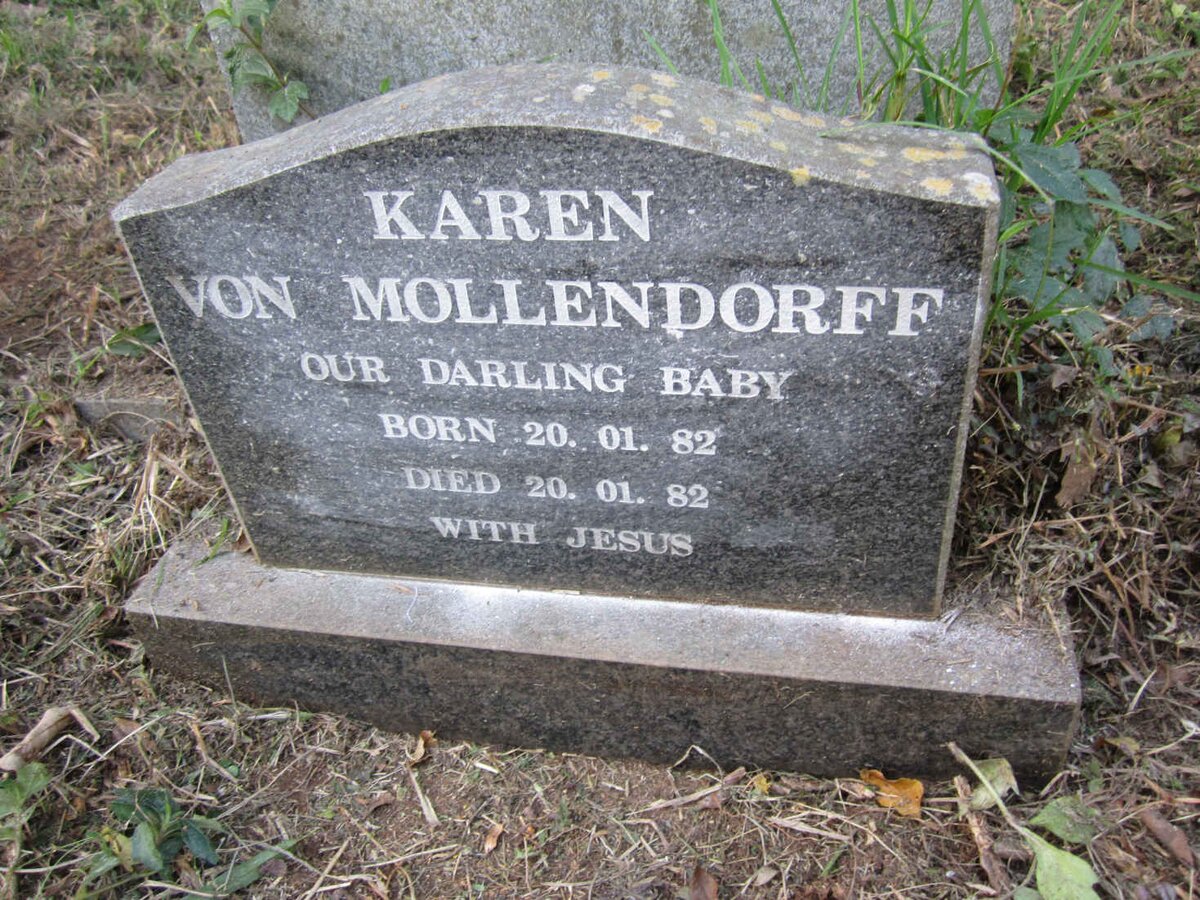 MOLLENDORFF Karen, von 1982-1982