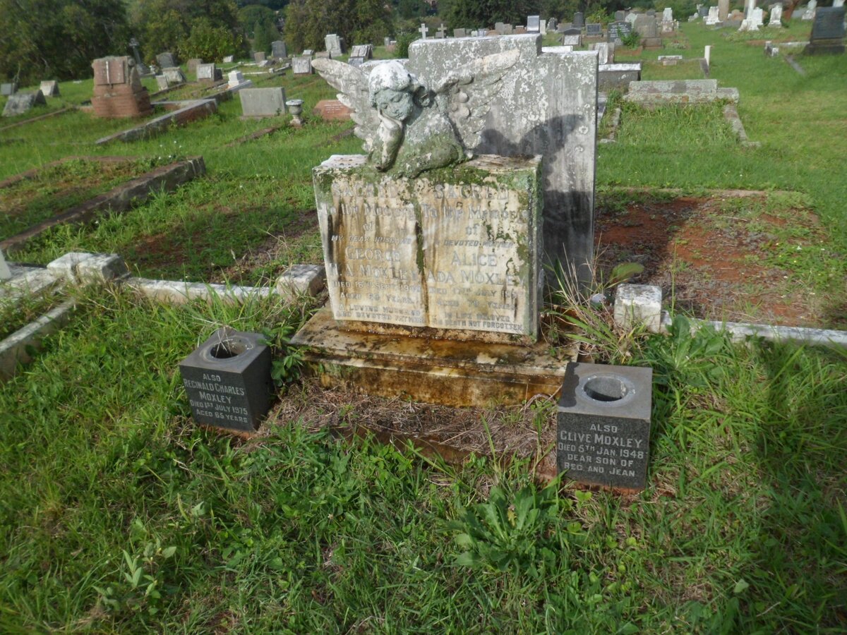 MOXLEY George H.A. -1940 &amp; Alice Ada -1956 :: MOXLEY Reginald Charles -1975 :: MOXLEY Clive -1948
