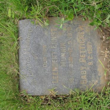 MUNNIK Leendert Ernst 1886-1979 :: PETTIGREW Baby -1967