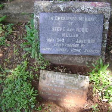 MULLER Steve -1949 &amp; Addie -1962 :: MULLER John Mervyn -1970