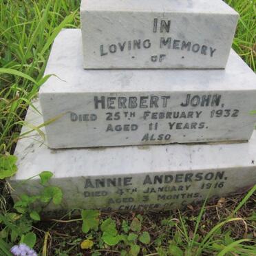 McCANN Herbert John -1932 :: McCANN Annie Anderson -1916