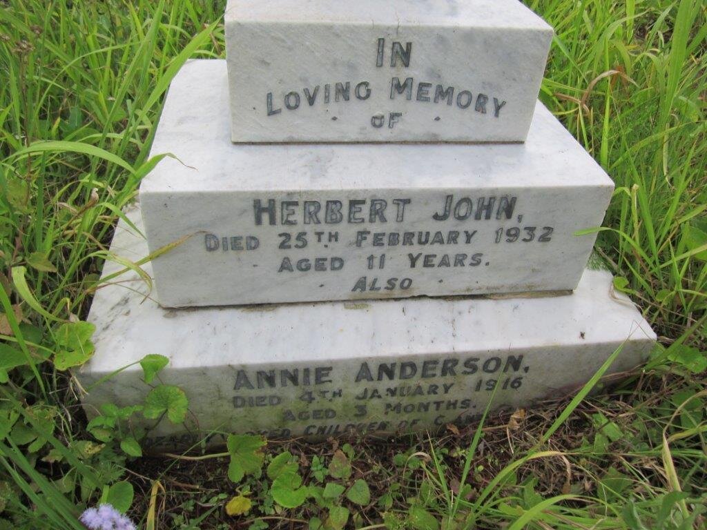 McCANN Herbert John -1932 :: McCANN Annie Anderson -1916