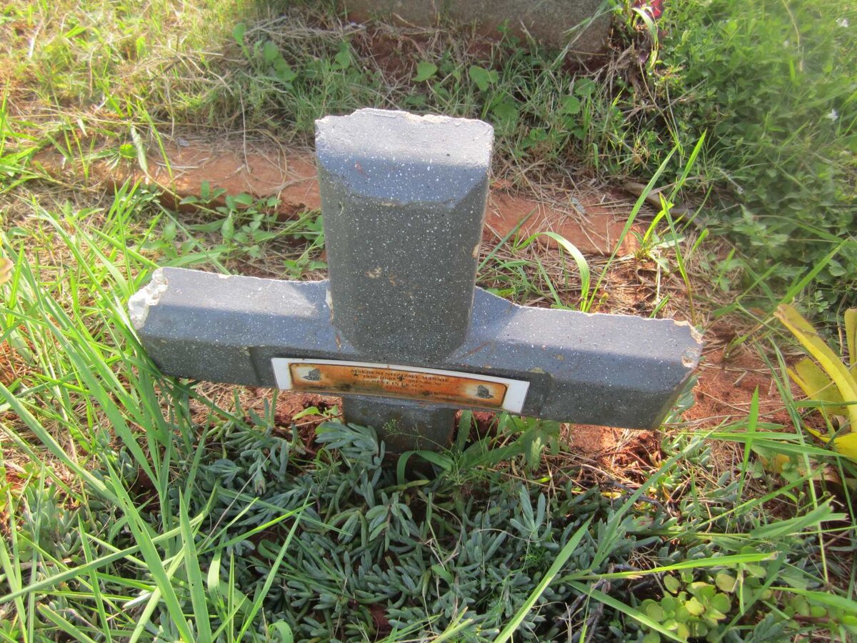 MSEBENI Nozizwe Winnie 1950-2017