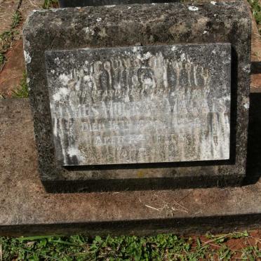 MARAIS James Murray -1958